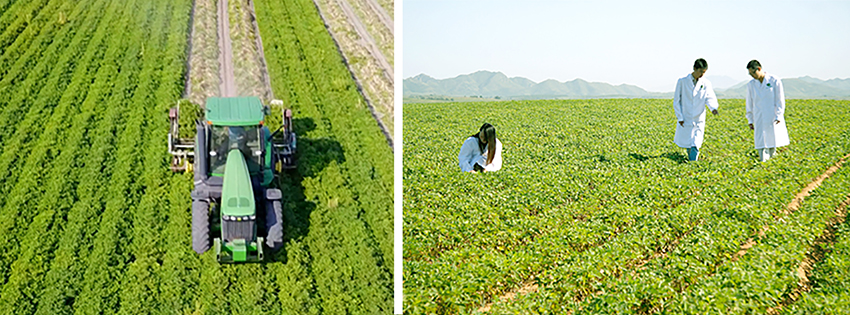 基地种植配图.jpg