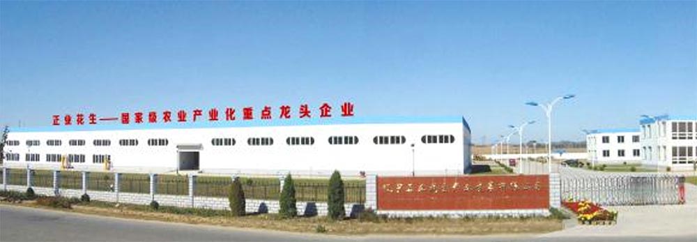 辽宁正业花生产业：共抗疫情，龙头企业显担当！(图1)
